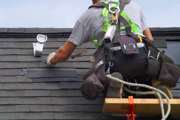Best Residential Vinyl Siding Installation  in Frankenmuth, MI