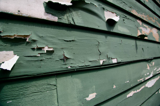 Best Weatherproofing and Sealing  in Frankenmuth, MI