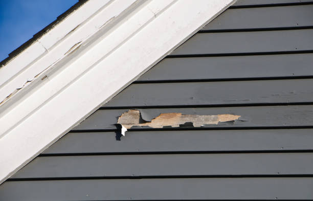 Best Stone Veneer Siding  in Frankenmuth, MI